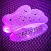 Faux Tattoo Stencils Constellation Cons Taurus
